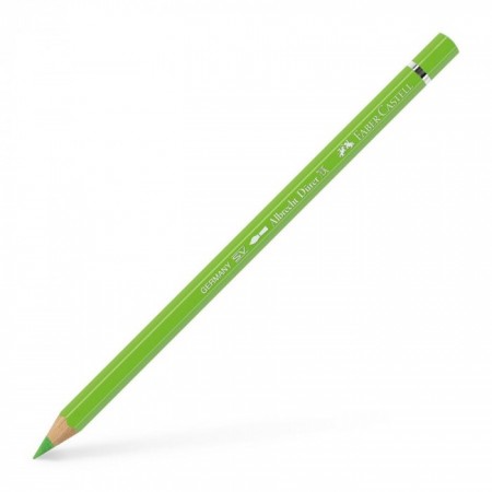 Albrecht Dürer watercolour pencil light green